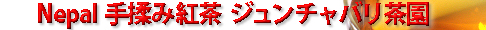 �蝆�ݍg�� �l�p�[���t�@�[�X�g�t���b�V�� �W�����`���o������